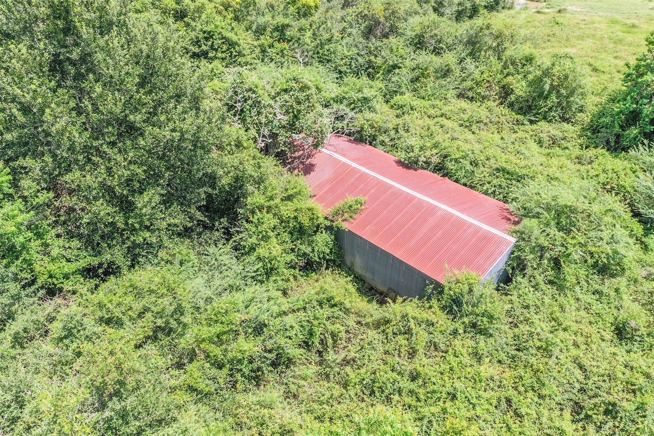 0 Bois D Arc Lane , Fulshear, TX, 77406 | 91962587 | Realty Texas LLC