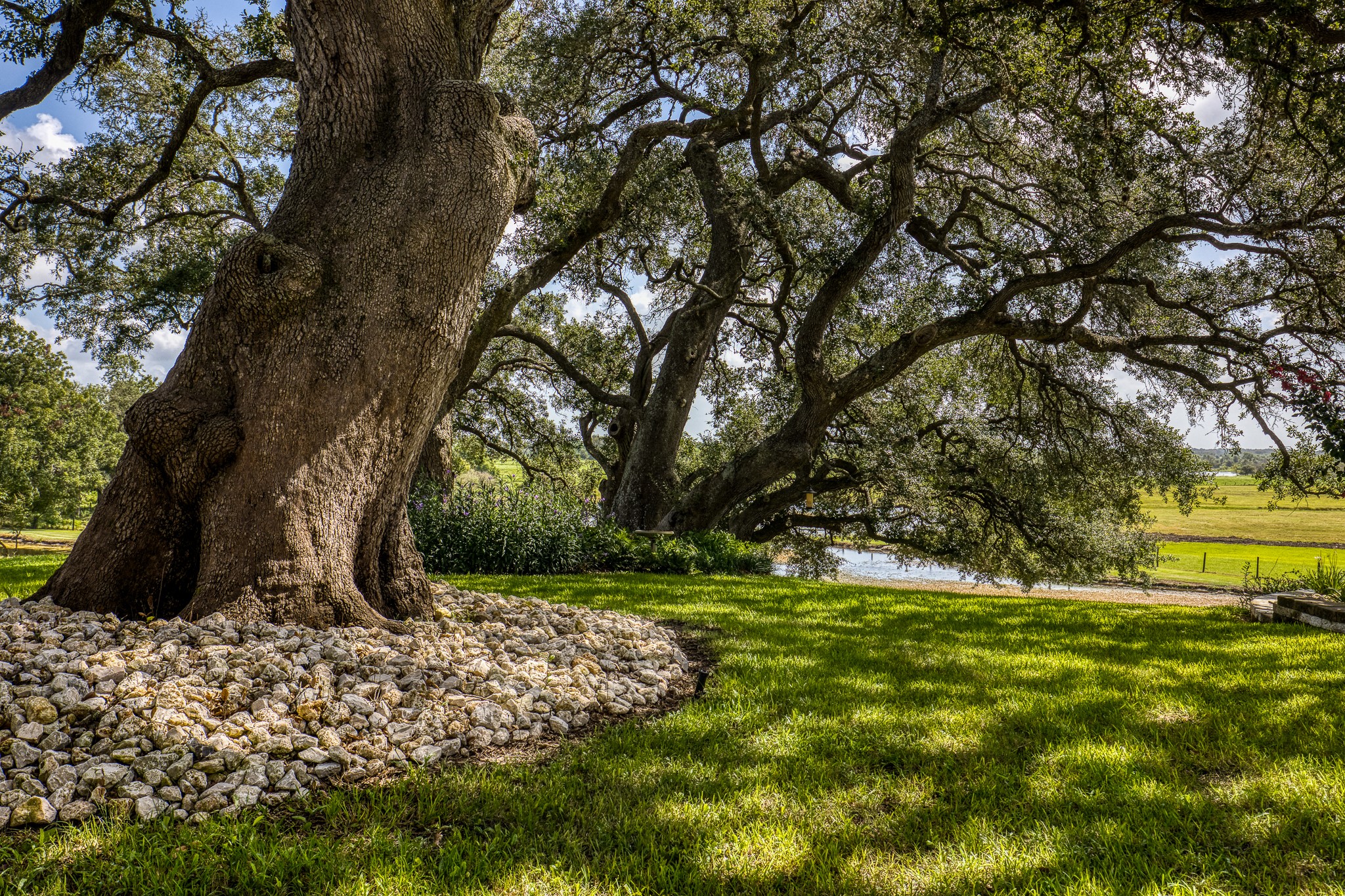 1669 County Road 101 , Columbus, TX, 78934 | 82077296 | Realty Texas LLC