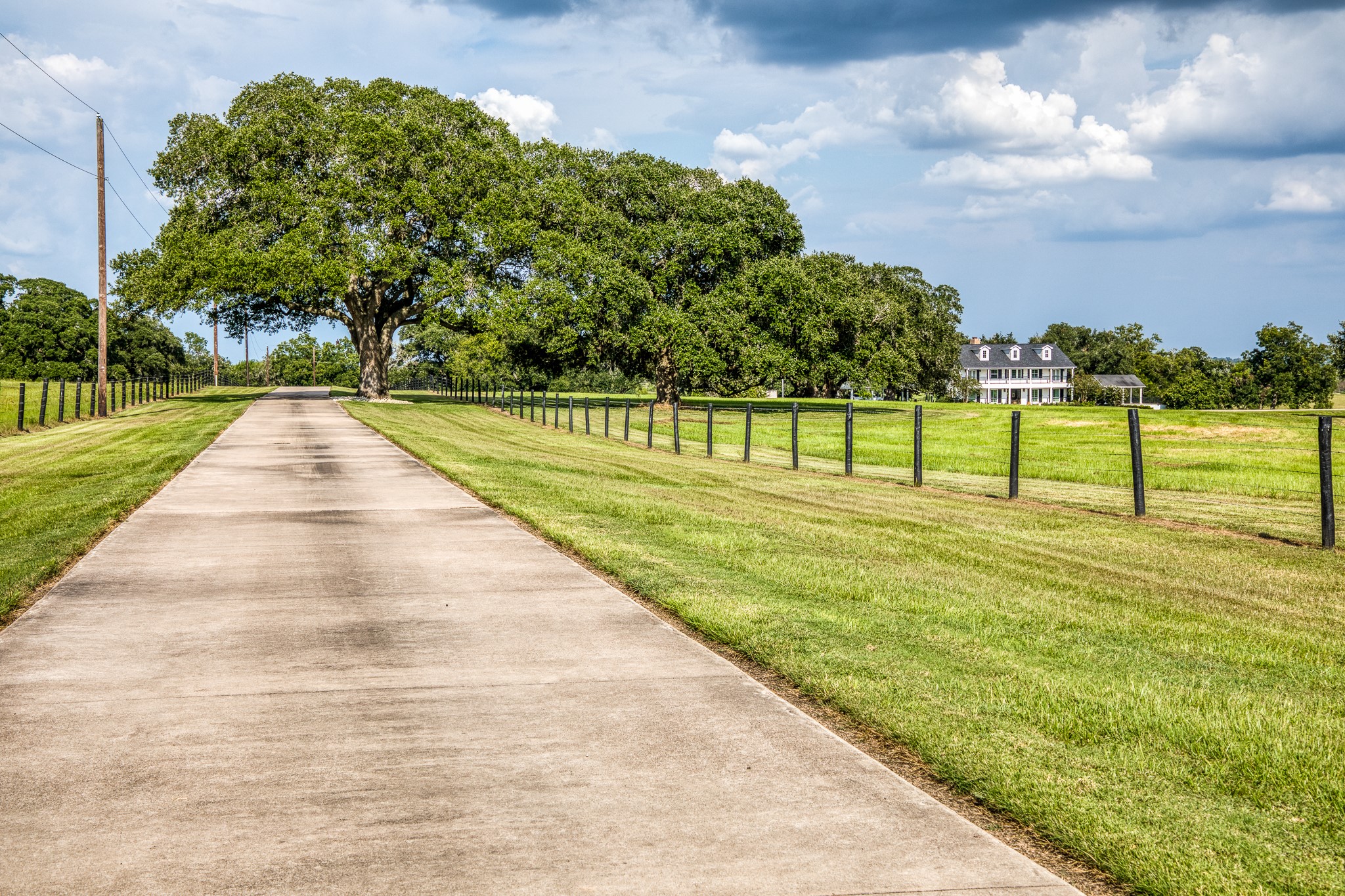 1669 County Road 101 , Columbus, TX, 78934 | 82077296 | Realty Texas LLC