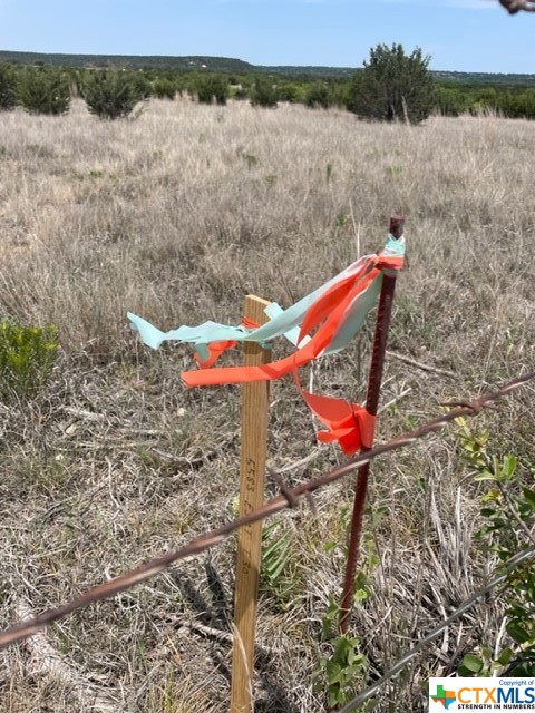 Tract 31 County Road 3390 , Lampasas, TX, 76550 | 449952 | Realty Texas LLC