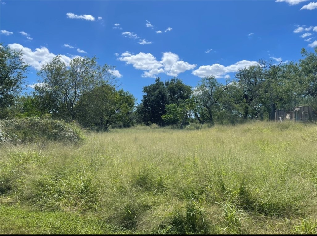 000 CR 175, Sandia, TX, 78383 | 388488 | Realty Texas LLC