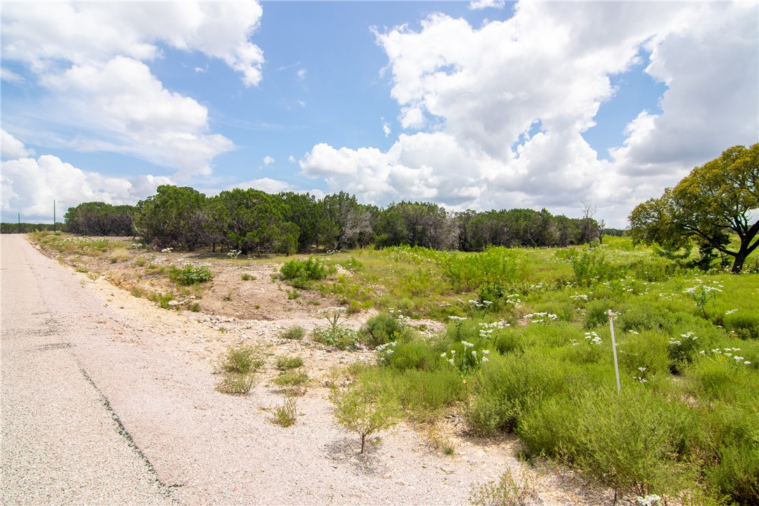000 Estate View Circle , Lampasas, TX, 76550 | 2758810 | Realty Texas LLC