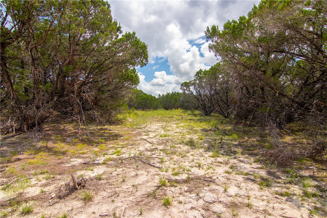 000 Estate View Circle , Lampasas, TX, 76550 | 2758810 | Realty Texas LLC