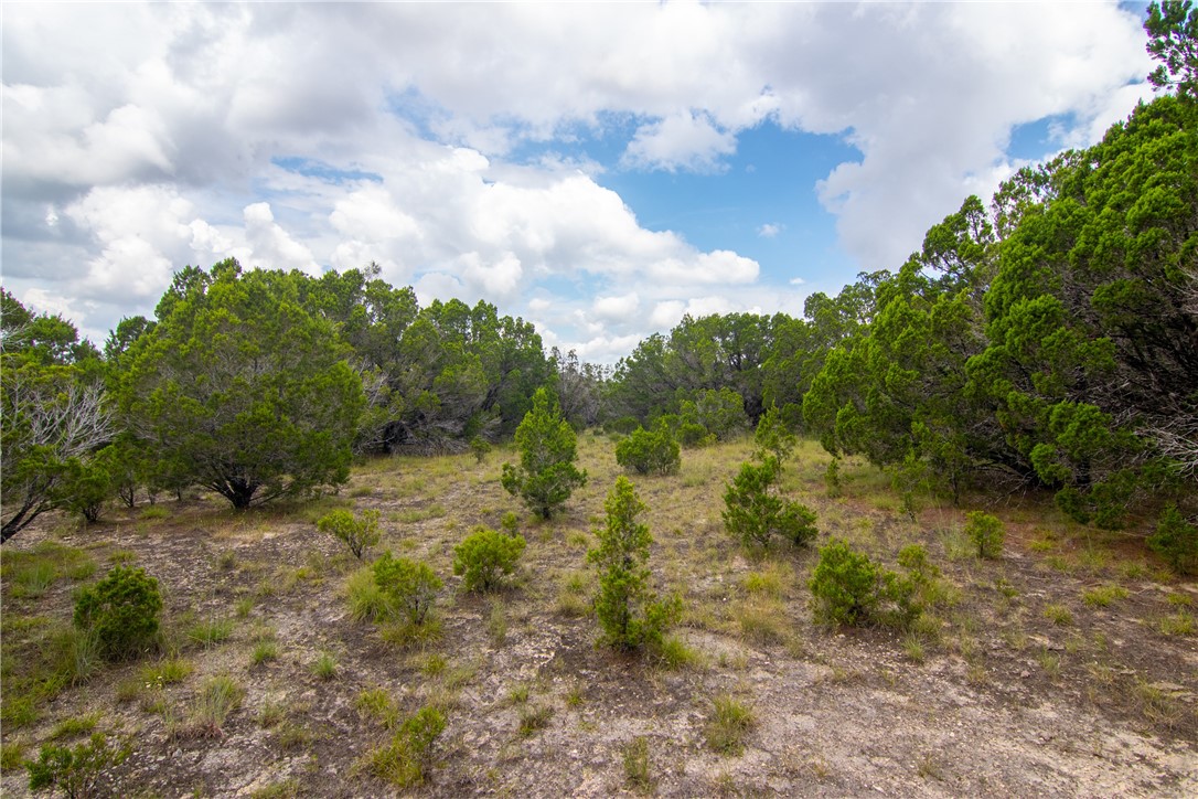 000 Estate View Circle , Lampasas, TX, 76550 | 2758810 | Realty Texas LLC