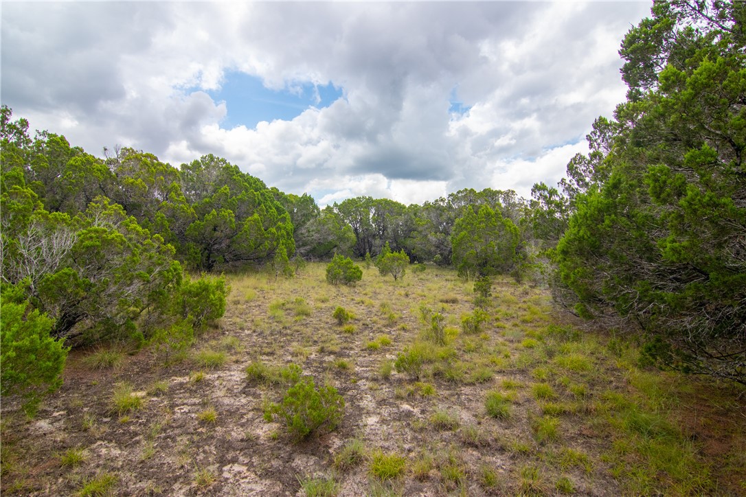 000 Estate View Circle , Lampasas, TX, 76550 | 2758810 | Realty Texas LLC