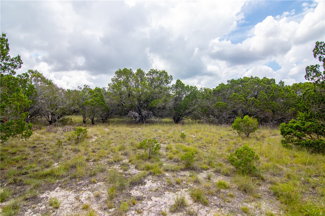 000 Estate View Circle , Lampasas, TX, 76550 | 2758810 | Realty Texas LLC