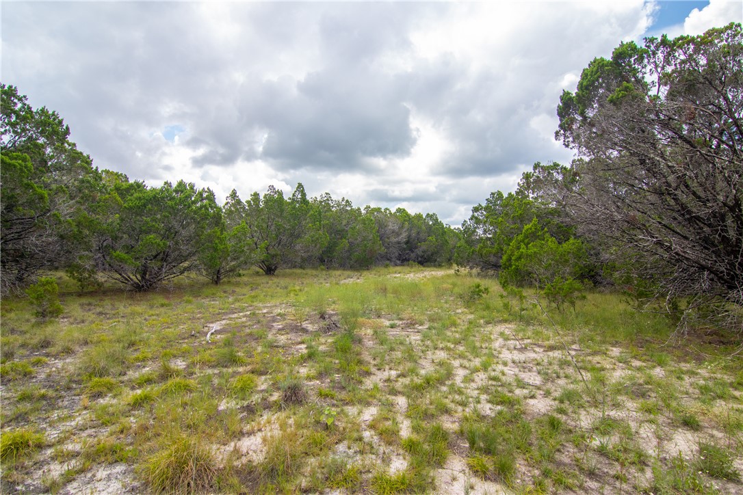 000 Estate View Circle , Lampasas, TX, 76550 | 2758810 | Realty Texas LLC