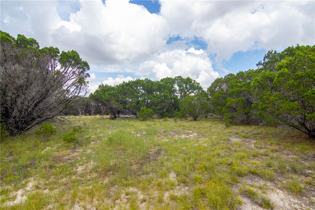 000 Estate View Circle , Lampasas, TX, 76550 | 2758810 | Realty Texas LLC