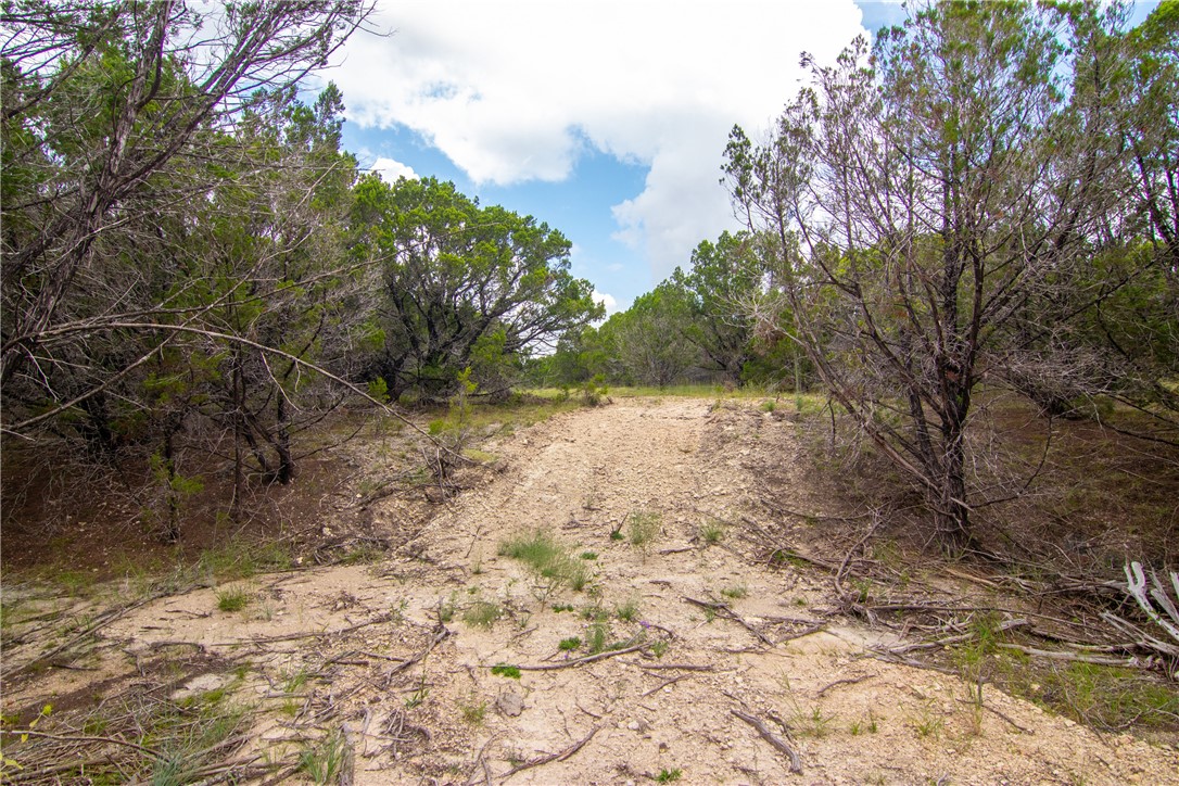 000 Estate View Circle , Lampasas, TX, 76550 | 2758810 | Realty Texas LLC