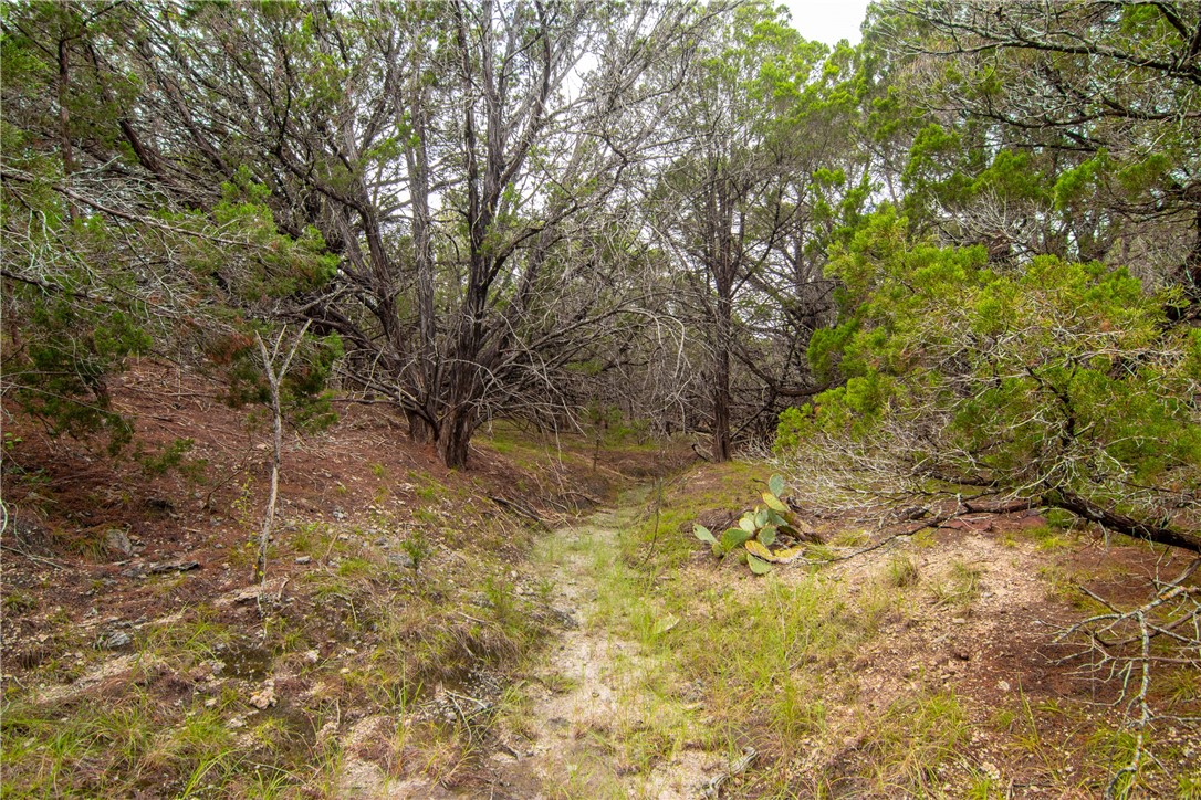 000 Estate View Circle , Lampasas, TX, 76550 | 2758810 | Realty Texas LLC