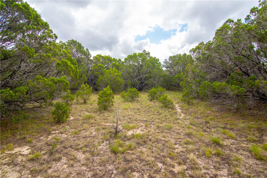 000 Estate View Circle , Lampasas, TX, 76550 | 2758810 | Realty Texas LLC