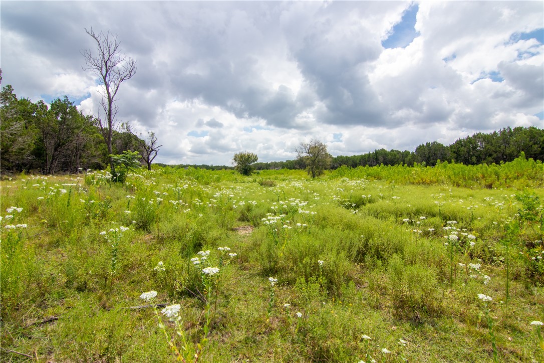 000 Estate View Circle , Lampasas, TX, 76550 | 2758810 | Realty Texas LLC