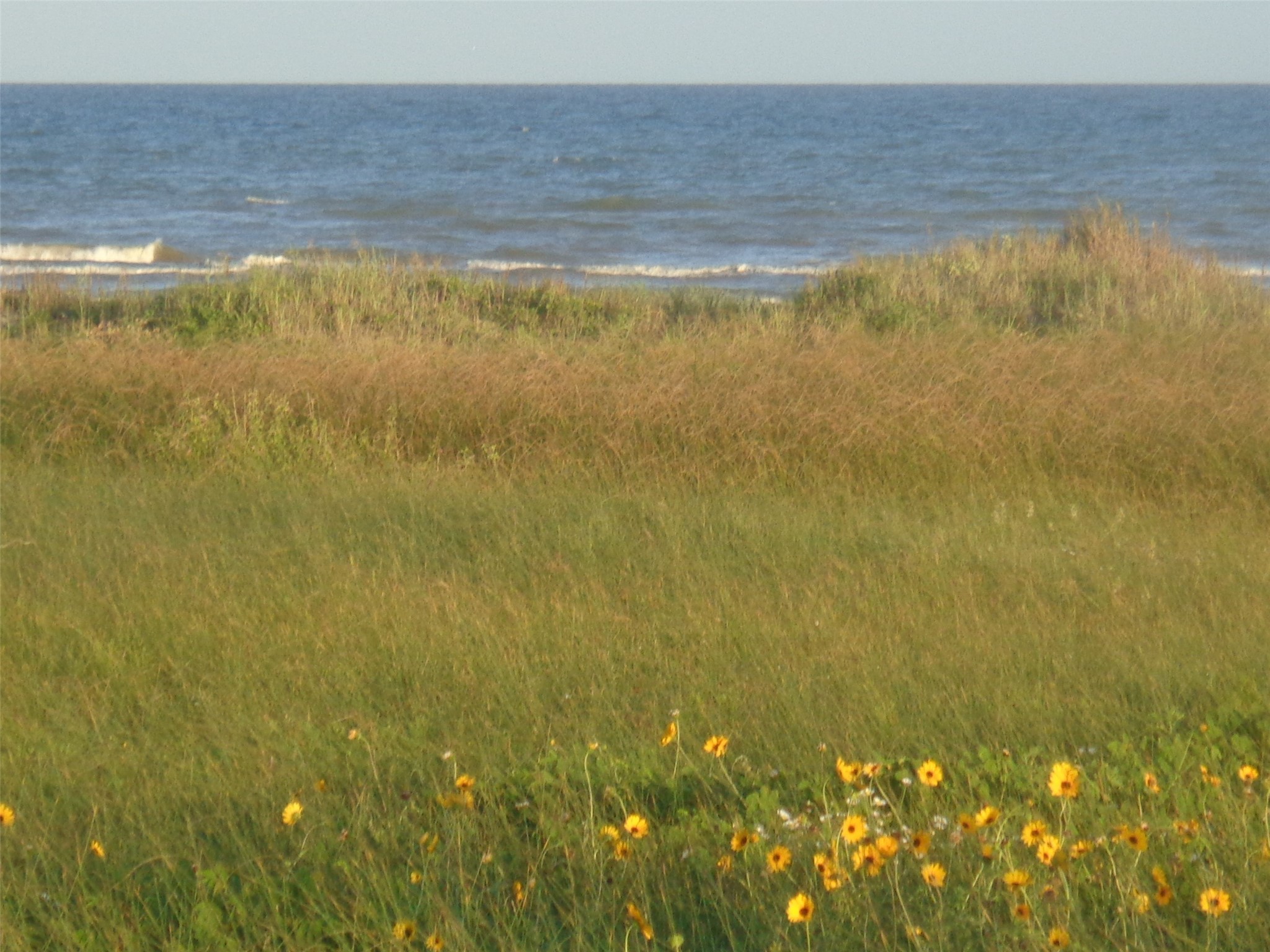 TR 47 San Luis Pass Road, Galveston, TX, 77554 | 93584739 | Realty Texas LLC