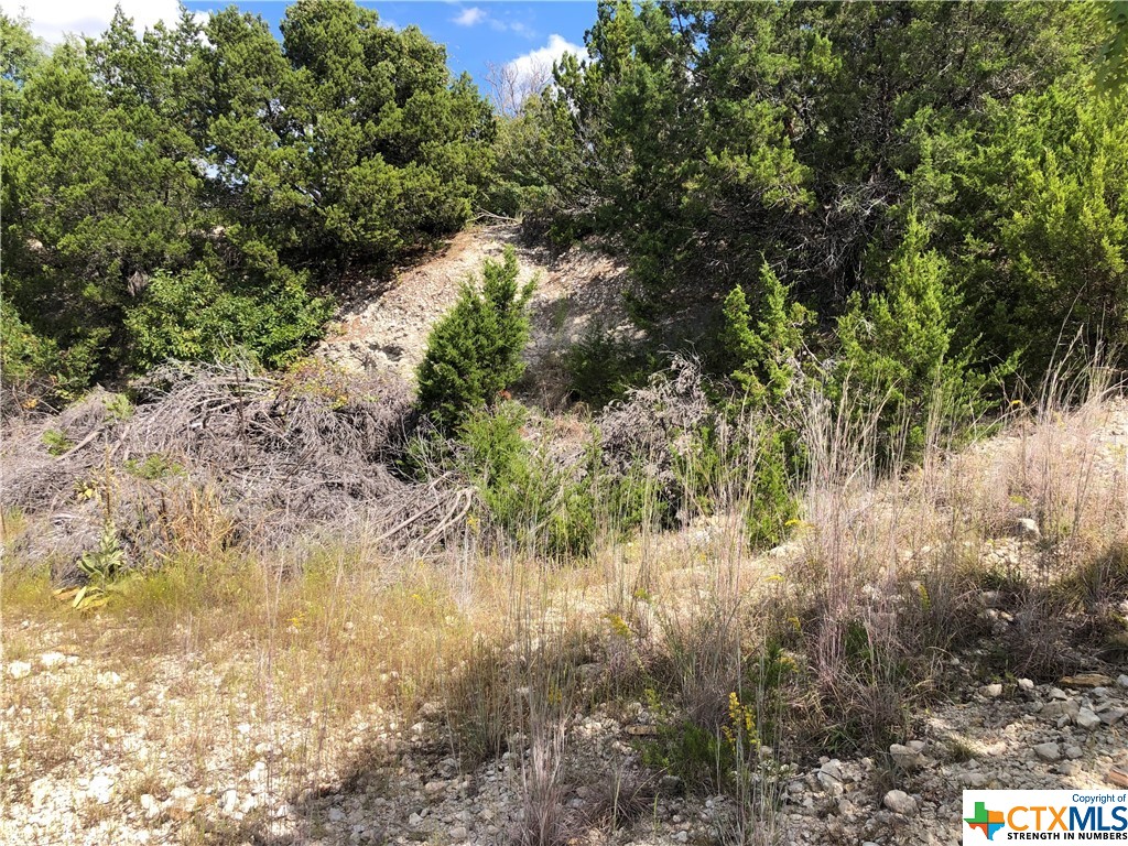 908 & 910 Davie Lee Drive, Copperas Cove, TX, 76522 | 452699 | Realty Texas LLC