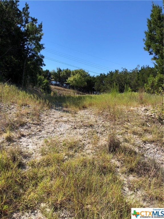 908 & 910 Davie Lee Drive, Copperas Cove, TX, 76522 | 452699 | Realty Texas LLC