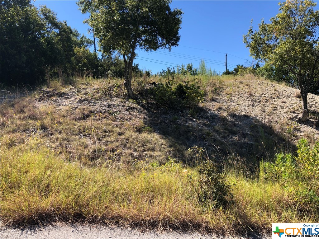 908 & 910 Davie Lee Drive, Copperas Cove, TX, 76522 | 452699 | Realty Texas LLC
