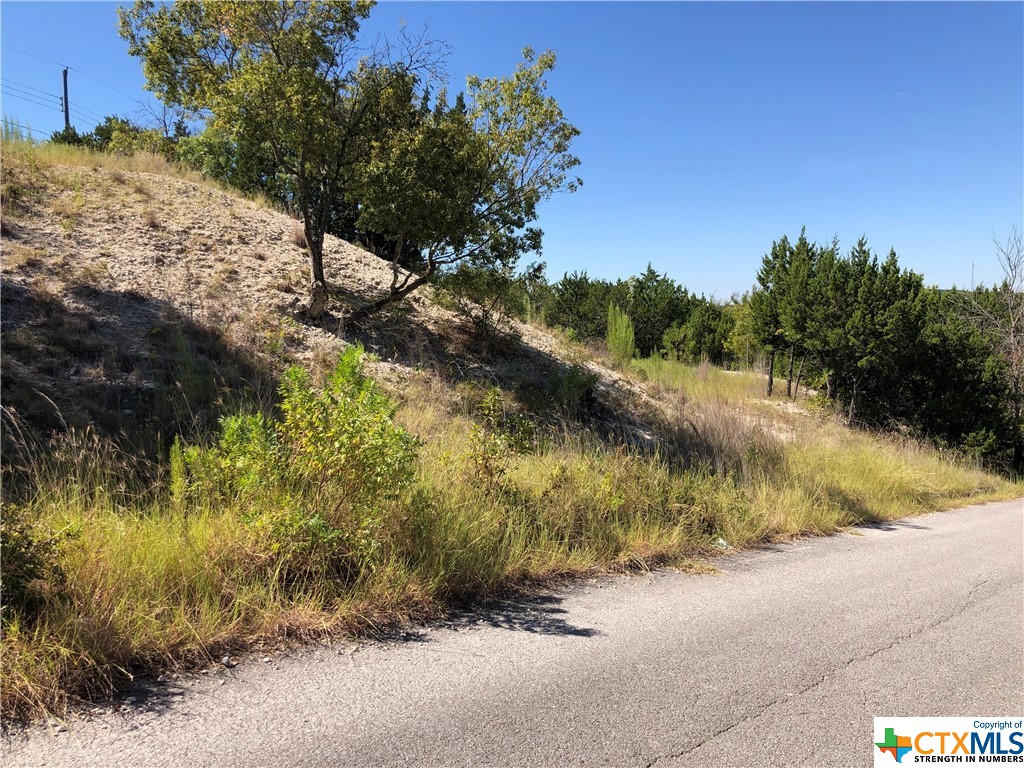 908 & 910 Davie Lee Drive, Copperas Cove, TX, 76522 | 452699 | Realty Texas LLC