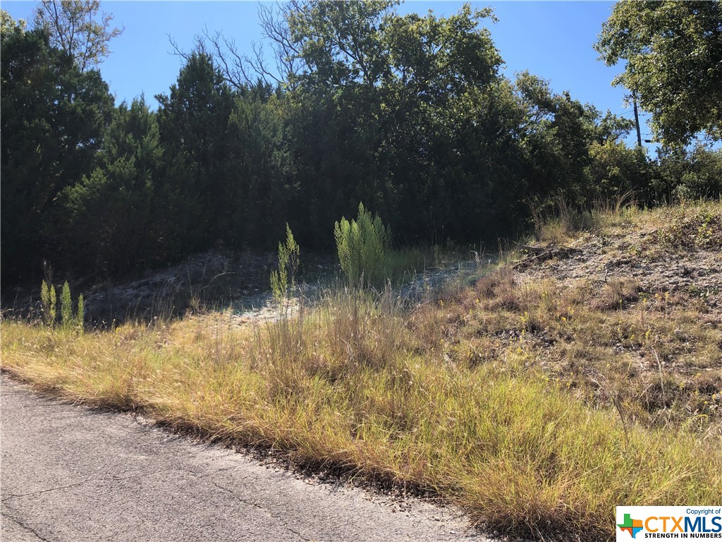 908 & 910 Davie Lee Drive, Copperas Cove, TX, 76522 | 452699 | Realty Texas LLC