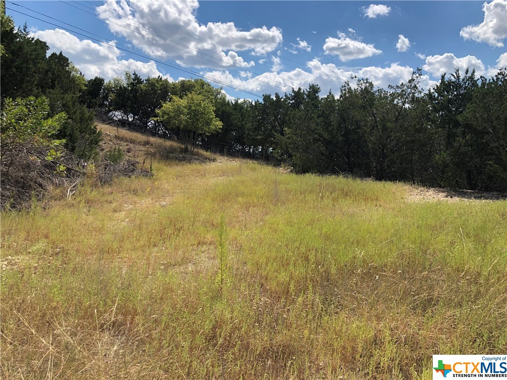 908 & 910 Davie Lee Drive, Copperas Cove, TX, 76522 | 452699 | Realty Texas LLC