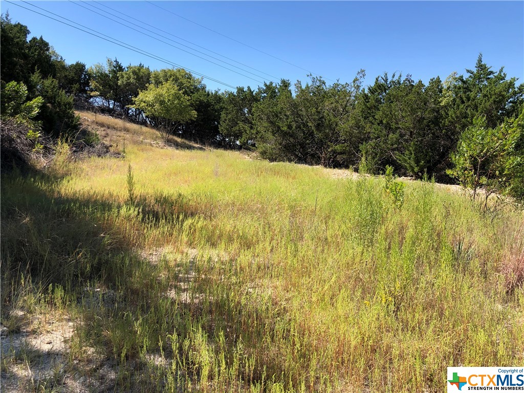 908 & 910 Davie Lee Drive, Copperas Cove, TX, 76522 | 452699 | Realty Texas LLC