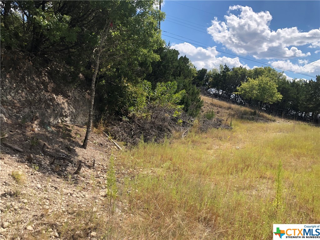 908 & 910 Davie Lee Drive, Copperas Cove, TX, 76522 | 452699 | Realty Texas LLC
