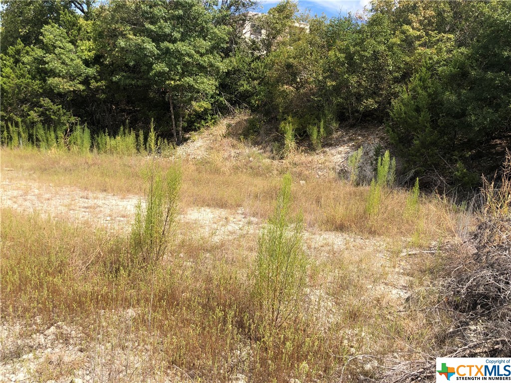 908 & 910 Davie Lee Drive, Copperas Cove, TX, 76522 | 452699 | Realty Texas LLC
