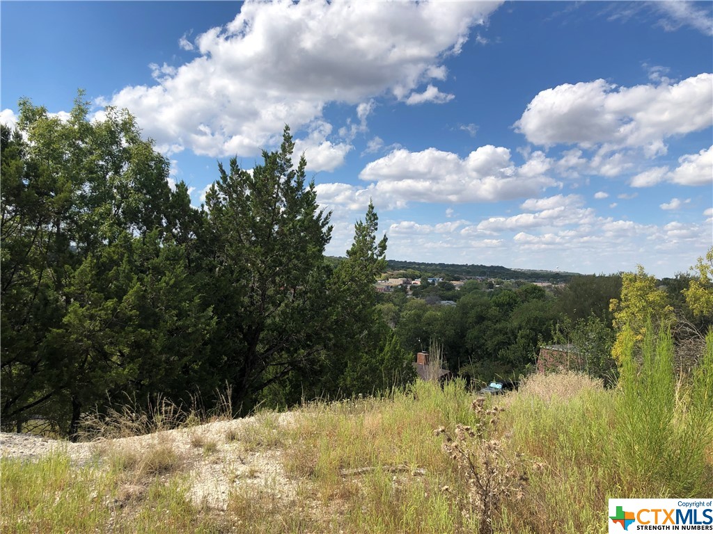 908 & 910 Davie Lee Drive, Copperas Cove, TX, 76522 | 452699 | Realty Texas LLC