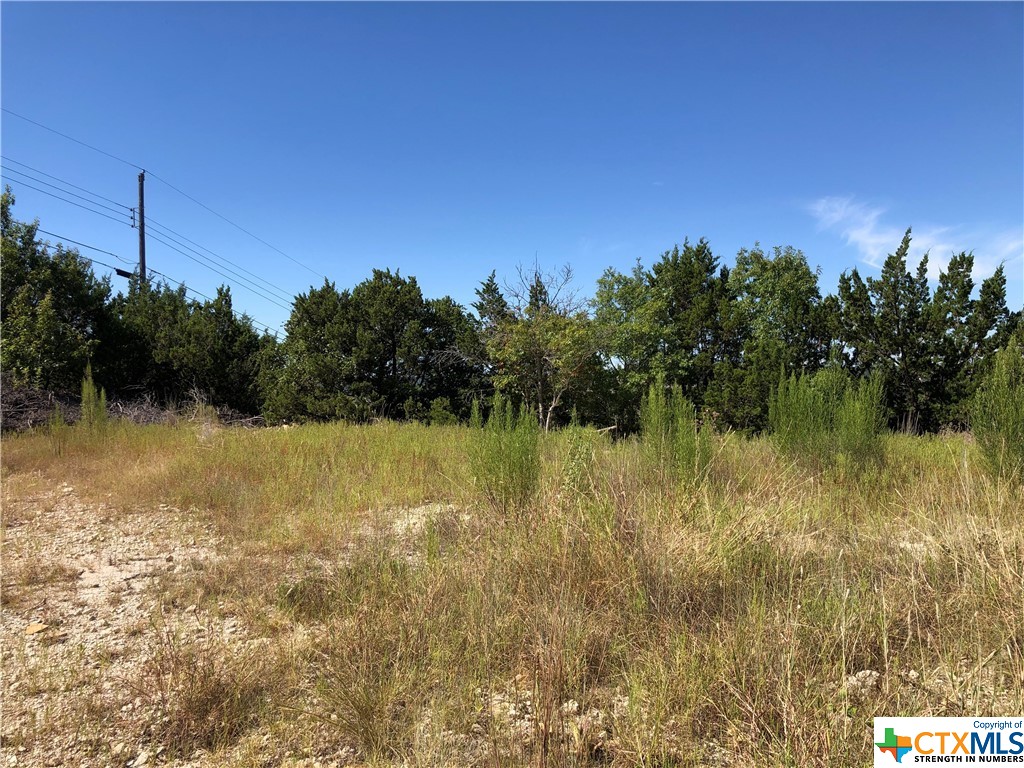 908 & 910 Davie Lee Drive, Copperas Cove, TX, 76522 | 452699 | Realty Texas LLC