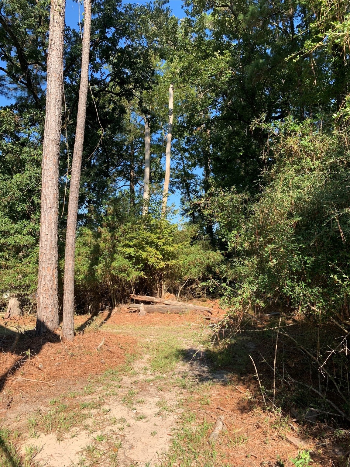 TBD Lakeshore Street , Trinity, TX, 75862 | 18589006 | Realty Texas LLC